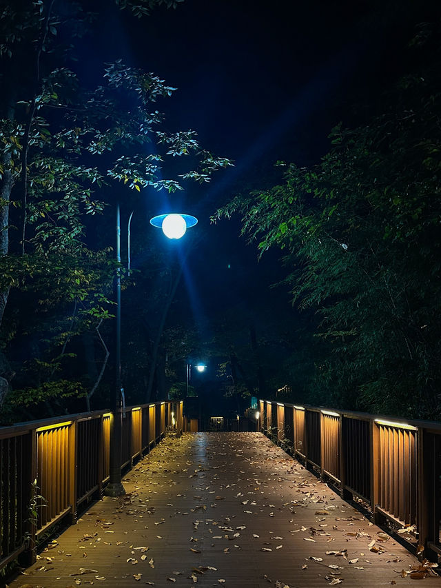 전주 한옥마을을 내려다볼 수 있는 곳