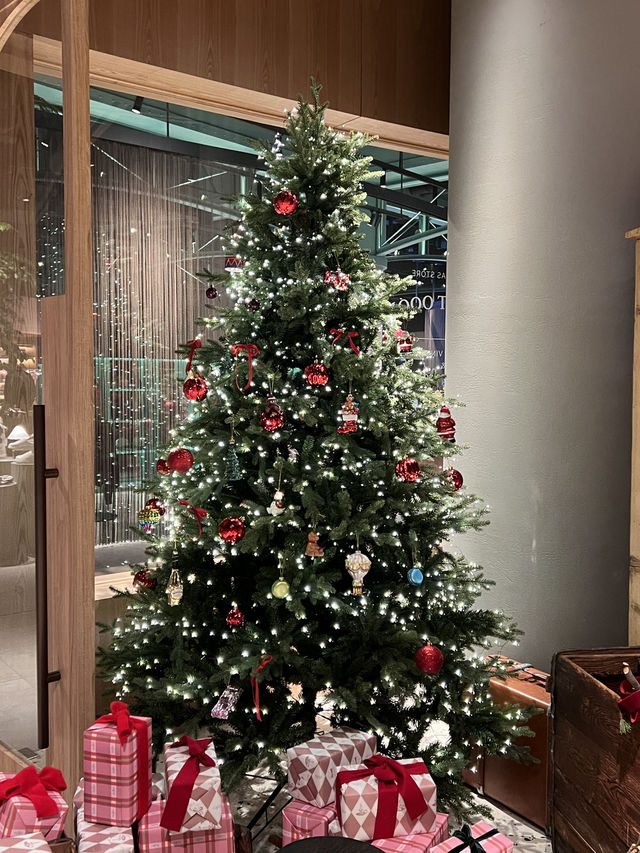 한국 부산🇰🇷 바다와 트리를 한번에 만날 수 있는 ‘빌라쥬 드 아난티🎄‘