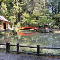 小國神社の参道