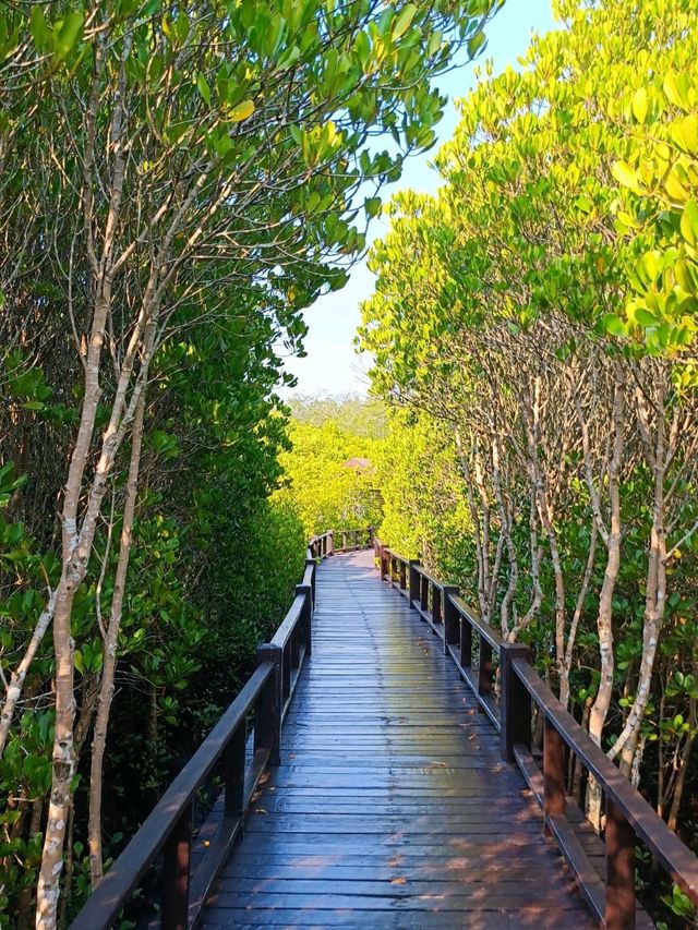 ไปเดินชมธรรมชาติสวยๆที่ วนอุทยานปราณบุรี