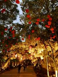 A Cinematic Escape to Hengdian World Studios and the Enchanting West Lake