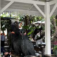 A quiet , relaxing lunch in the heart of Bangkok