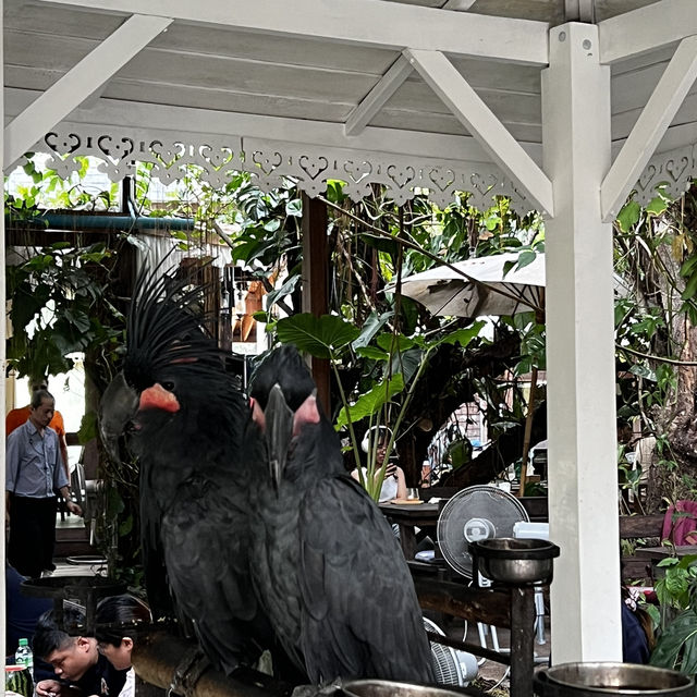 A quiet , relaxing lunch in the heart of Bangkok