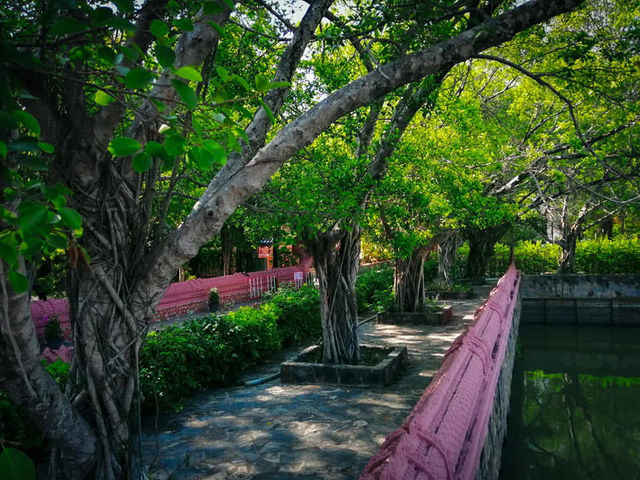   🌻🌻🌻สงบจิตสงบใจ วัดใกล้กรุง⛰️🥰⭐️⭐️⭐️