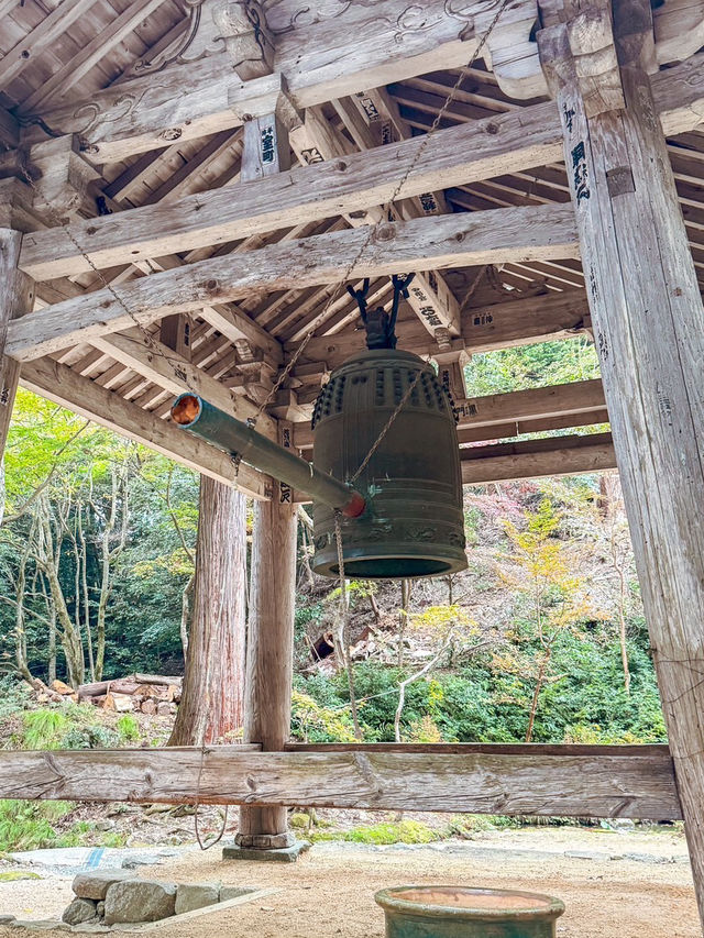 【滋賀】湖東三山最古のお寺で絶景紅葉