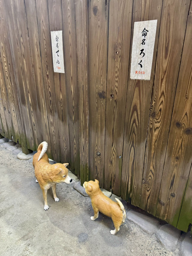 江戸時代へタイムスリップできる場所。