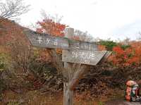 【栃木県】圧巻の紅葉絨毯と活火山！那須の茶臼岳
