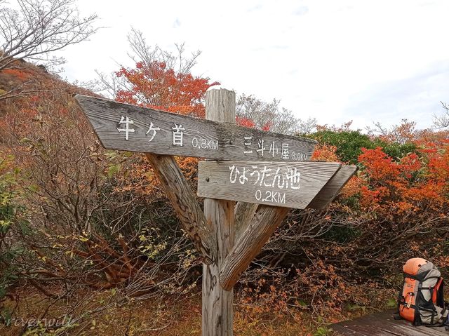 【栃木県】圧巻の紅葉絨毯と活火山！那須の茶臼岳