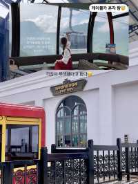 🇻🇳베트남의스위스 사파 4박5일 여행코스공유🌿
