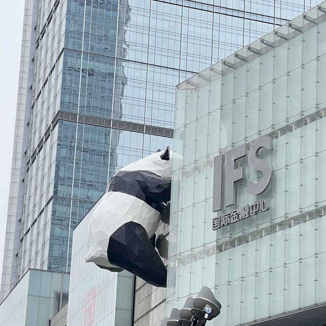 ดูหมี ที่ตึก IFS