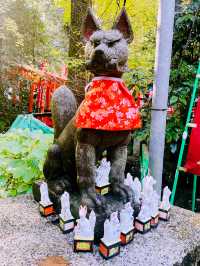 【神奈川県/鎌倉　白狐の置物がたくさん並ぶ神秘的な場所『佐助稲荷神社』】