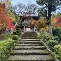 紅葉の名所、古刹「洞光寺」。