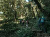 Mardi Himal 