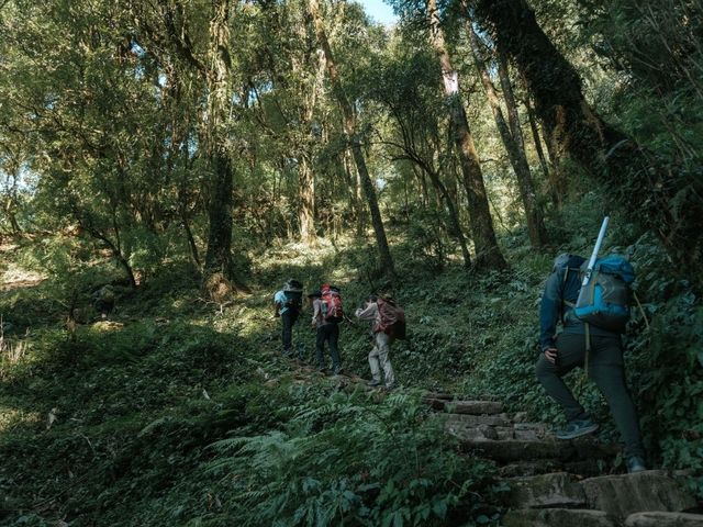 Mardi Himal 