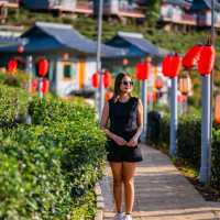 ล่องเรือชมวิว บรรยากาศที่พัก ที่บ้านรักไทย