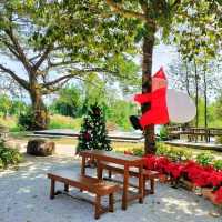 Sicha Cafe คาเฟ่ในบรรยากาศคริสต์มาส