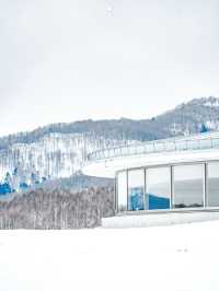 🗿頭大佛|札幌不可錯過的靜謐禪境