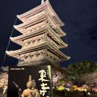 怎能抗拒「東寺夜楓」的倒影😍