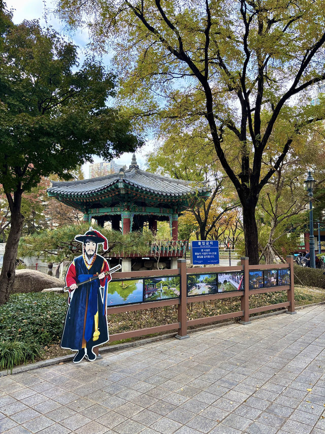 은행잎 가득 가을을 느낄 수 있는 대구 경상감영공원💛