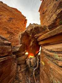 Hiking for Sunrise in Sedona: Not Your Average Wake-Up call📞 