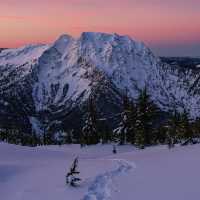  ❄️Washington Should Be Your Next Christmas Vacation 🎅🏼