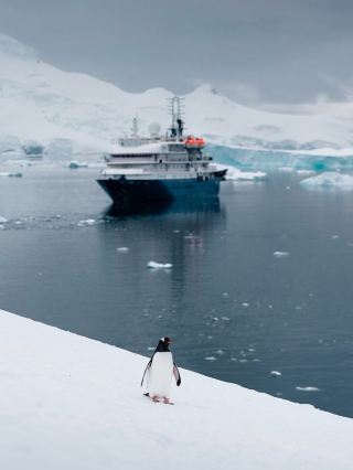 Penguins, Icebergs, and Feeling Like an Extra in Frozen: The Antarctic Peninsula