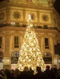 A Merry Milano Christmas: Where Tradition Meets Glamour