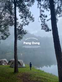 ฤดูหนาวที่ปางอุ๋ง | จ.แม่ฮ่องสอน 🏕️🌿🦢🌳