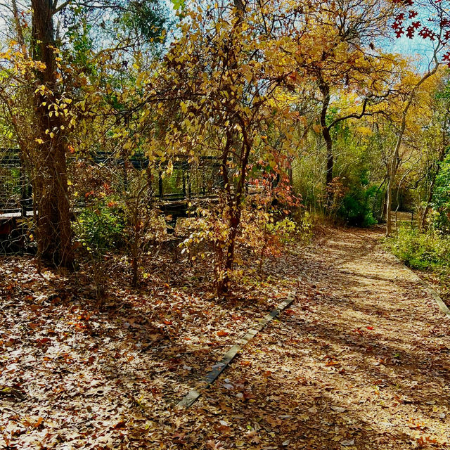 Hidden Gem: Prairie Creek Park's Huck Finn Trail