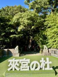 【日本伊東】來宮神社：日本能量景點，樹齡超過2000年的巨楠