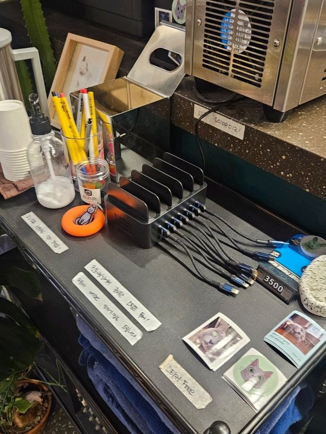 크리스마스 느낌 가득한 '산애카페'