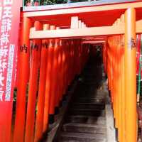 ศาลเจ้าฮิเอะที่มีเสาโทริอิเรียงรายอีกแห่งในโตเกียว