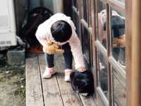 Houtong Cat Village สวรรค์ของคนรักแมว