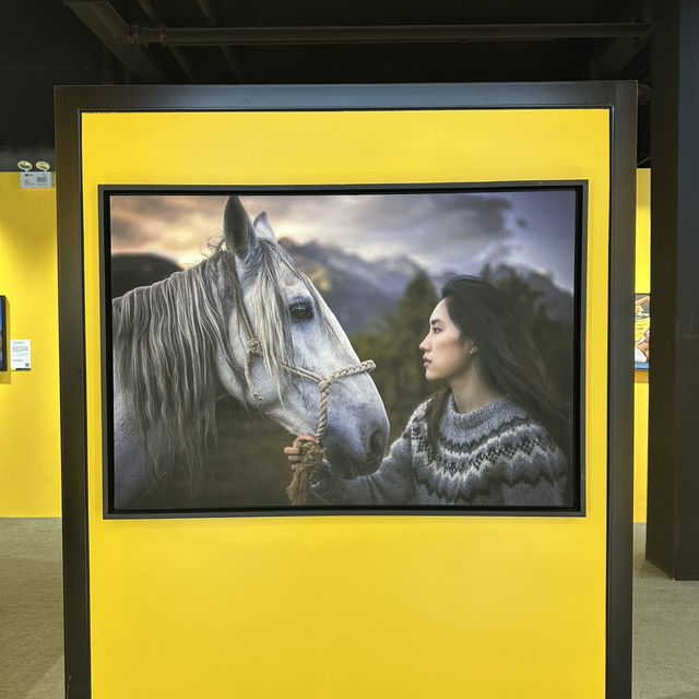 Stunning National Geographic photo gallery in Dalian