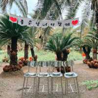제주도 상가리야자숲 동남아 같은 이국적인 곳 🌴