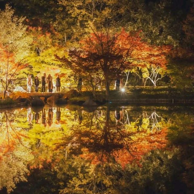 憶起東京秋天的童話~國營昭和記念公園