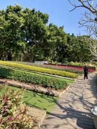 🚶‍♀️‍➡️🌸 人在花叢中｜香港賞花野餐首選海濱公園🥇🌹🌈