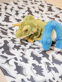 【福井】恐竜王国福井で泊まる恐竜部屋🦖🧡 