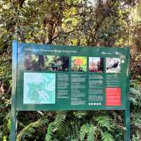 Dandenong Ranges National Park