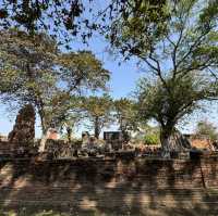 วัดมหาธาตุ จ.พระนครศรีอยุธยา