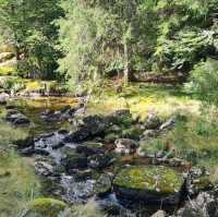 Cevennes National Park