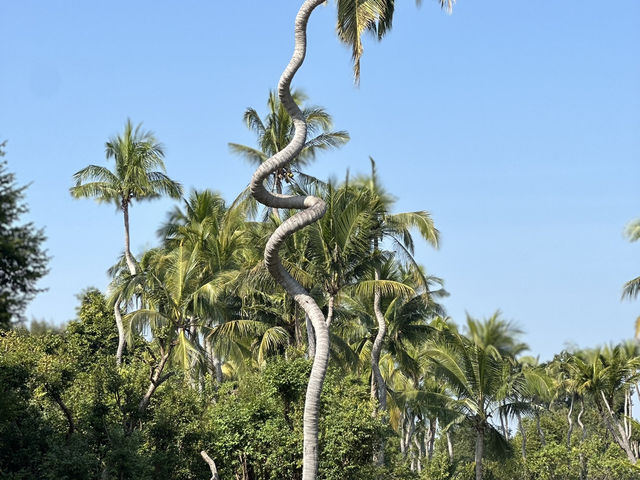 Changthong Heritage Park