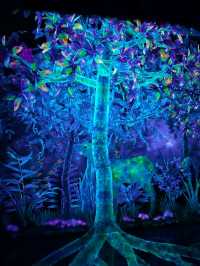 Teamlab Forest Fukuoka 🌳