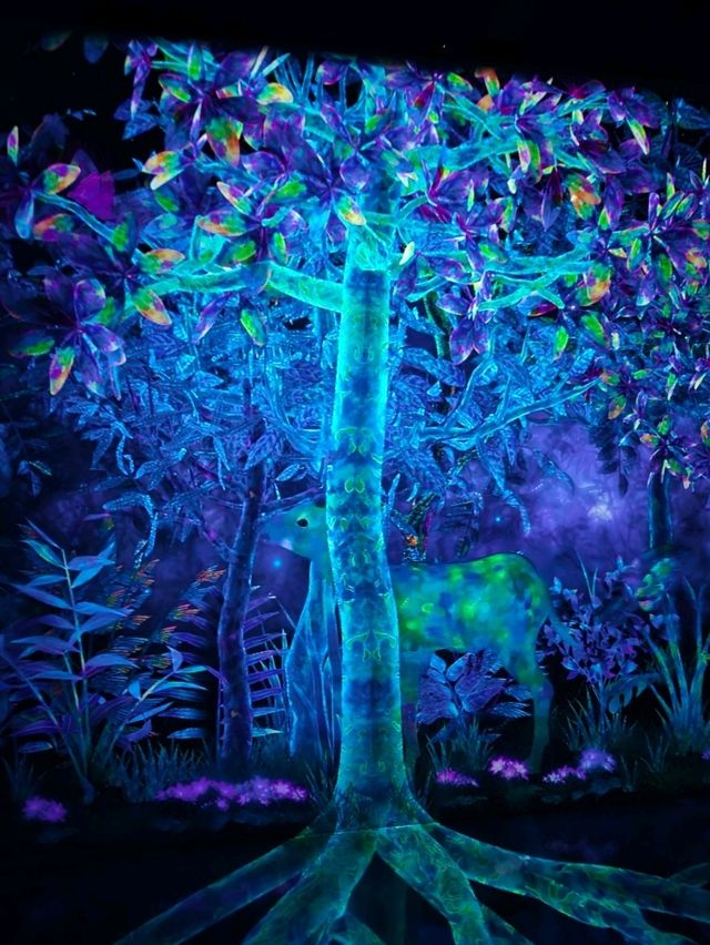 Teamlab Forest Fukuoka 🌳