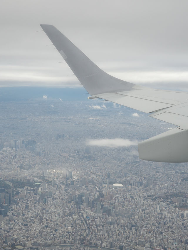 📍 のれそれ青森旅