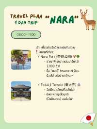 แพลนเที่ยว “นารา” (Nara) 1 Day Trip from Osaka 🦌✨