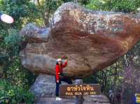 เส้นทางศึกษาธรรมชาติ ผาชูธง - ลานหินปุ่ม 