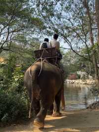 Pattaya （親子旅遊適用）🇹🇭 MongChang Cafe🐘