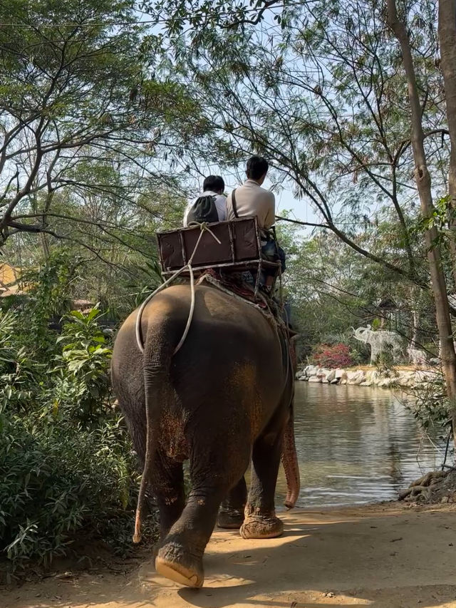 Pattaya （親子旅遊適用）🇹🇭 MongChang Cafe🐘