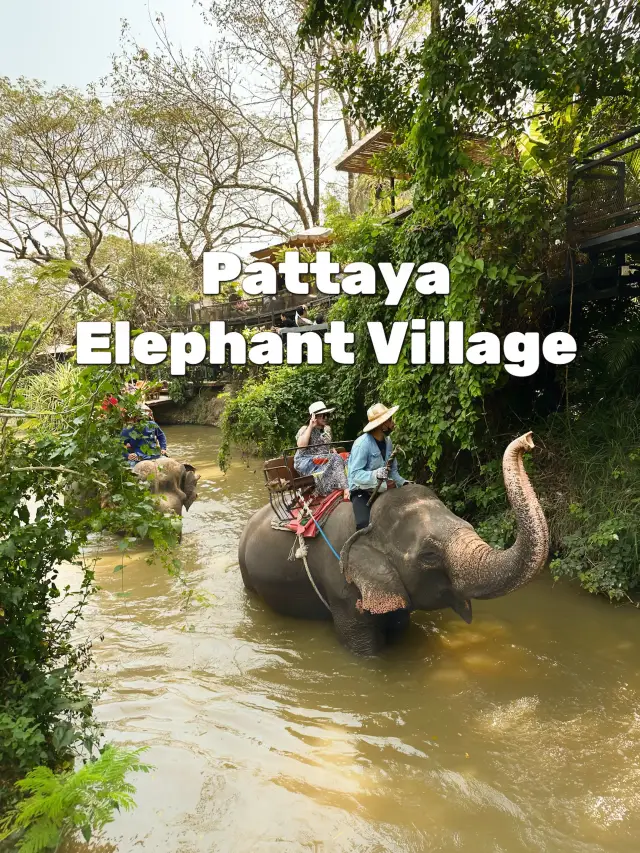 芭達雅大象村
